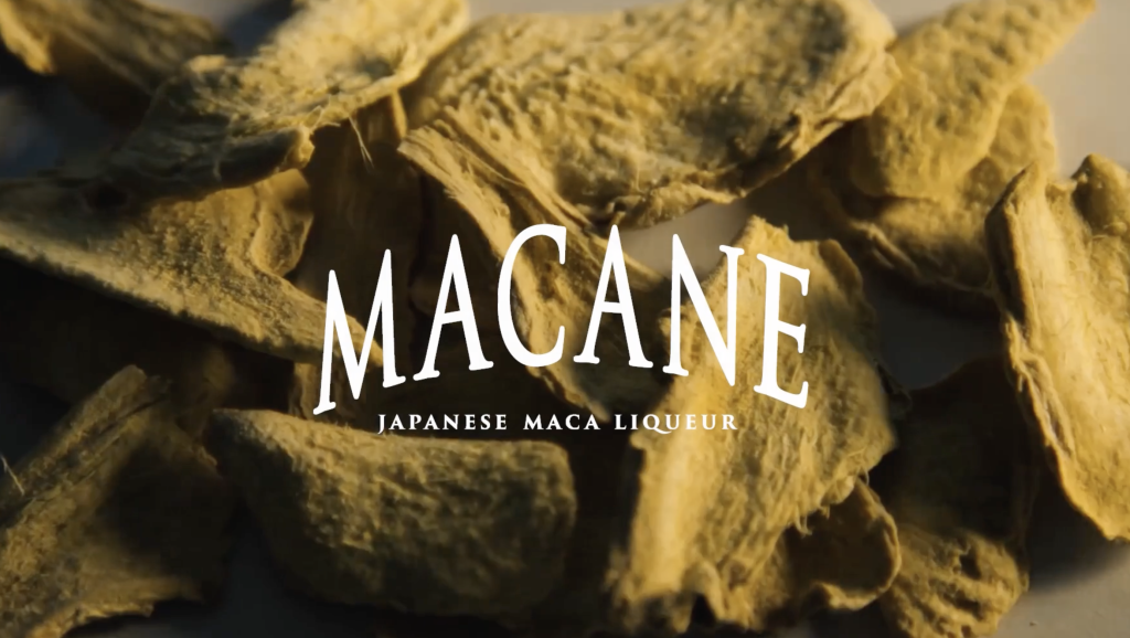 MACANEの世界を映像と音楽で体感する